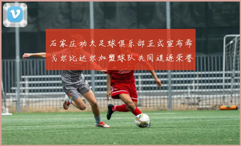 石家庄功夫足球俱乐部正式宣布希戈尔比达尔加盟球队共同追逐荣誉